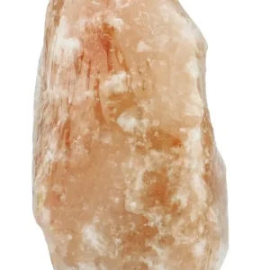 HIMALAYAN SUOLALAMPUT 2 - 3 kg