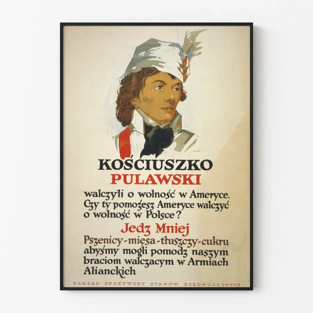 Historiallinen juliste Kościuszko Pulawski - Vintage-patriotinen seinäkoristelu