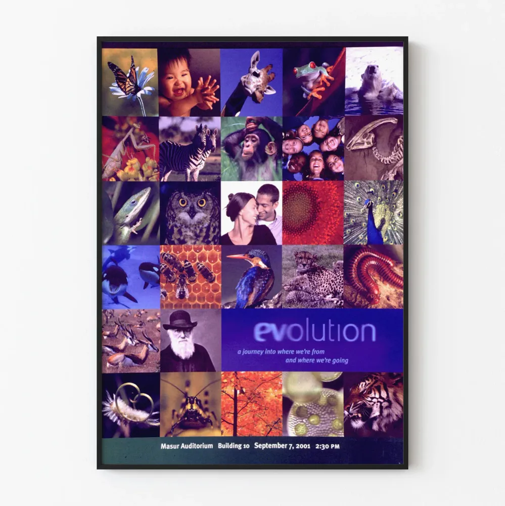 Juliste Evolution : Matka elämän alkuperästä ja tulevaisuudesta