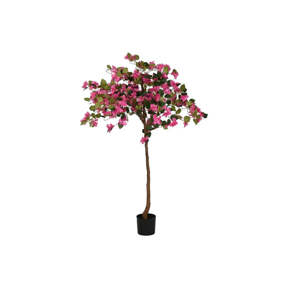 Koristekasvi Home ESPRIT Polyetyleeni