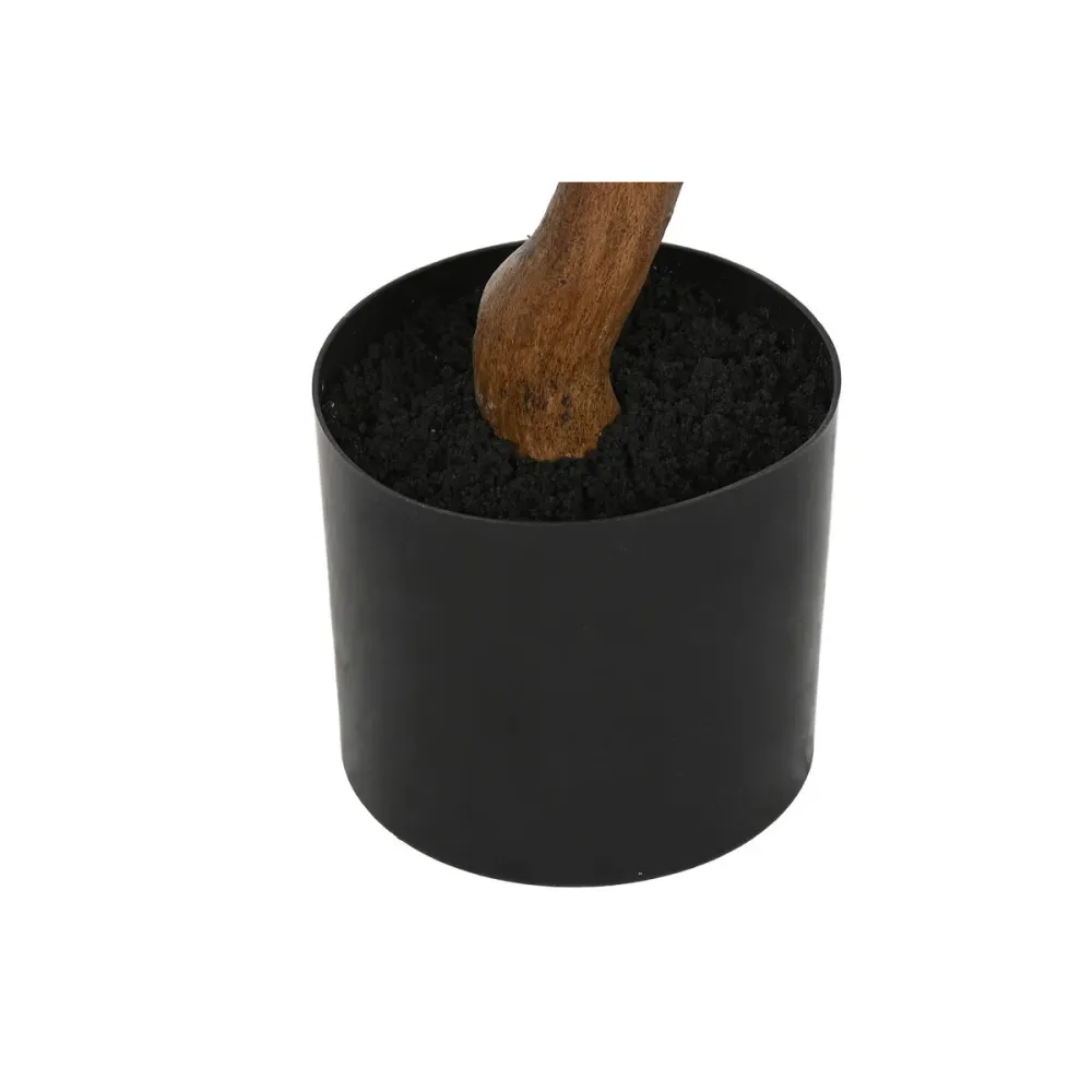 Koristekasvi Home ESPRIT Polyetyleeni