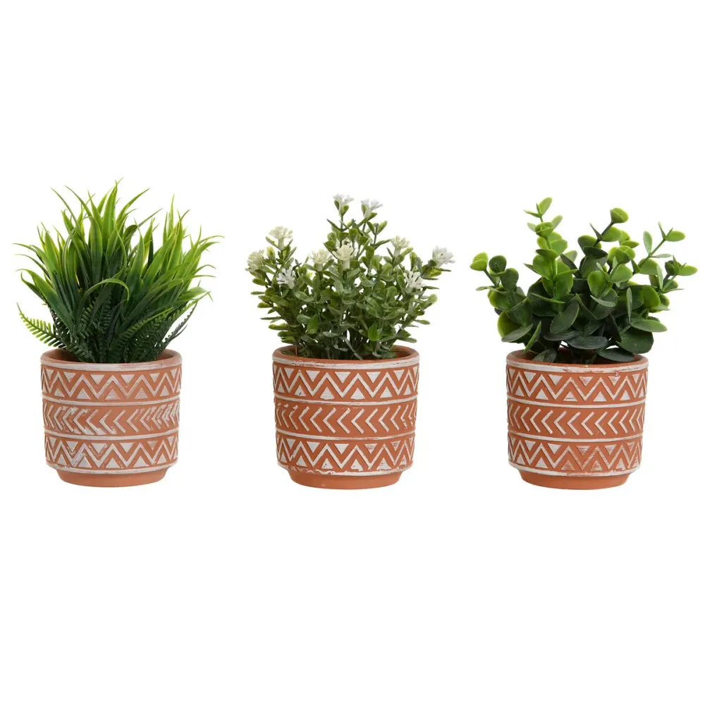 Koristekasvi Home ESPRIT Polyetyleeni Sementti 12 x 12 x 17 cm (3 osaa)