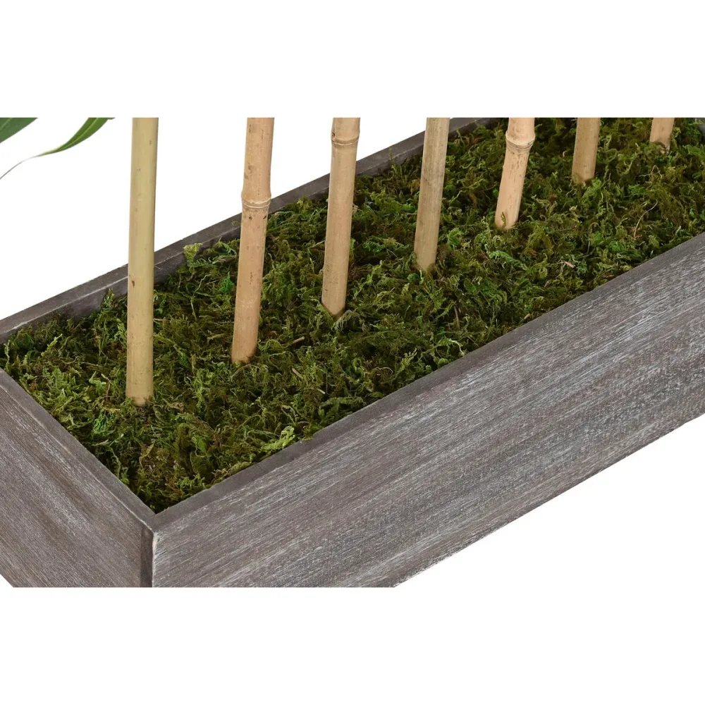Koristekasvi Home ESPRIT Puu Bambu Polyetyleeni Itämainen