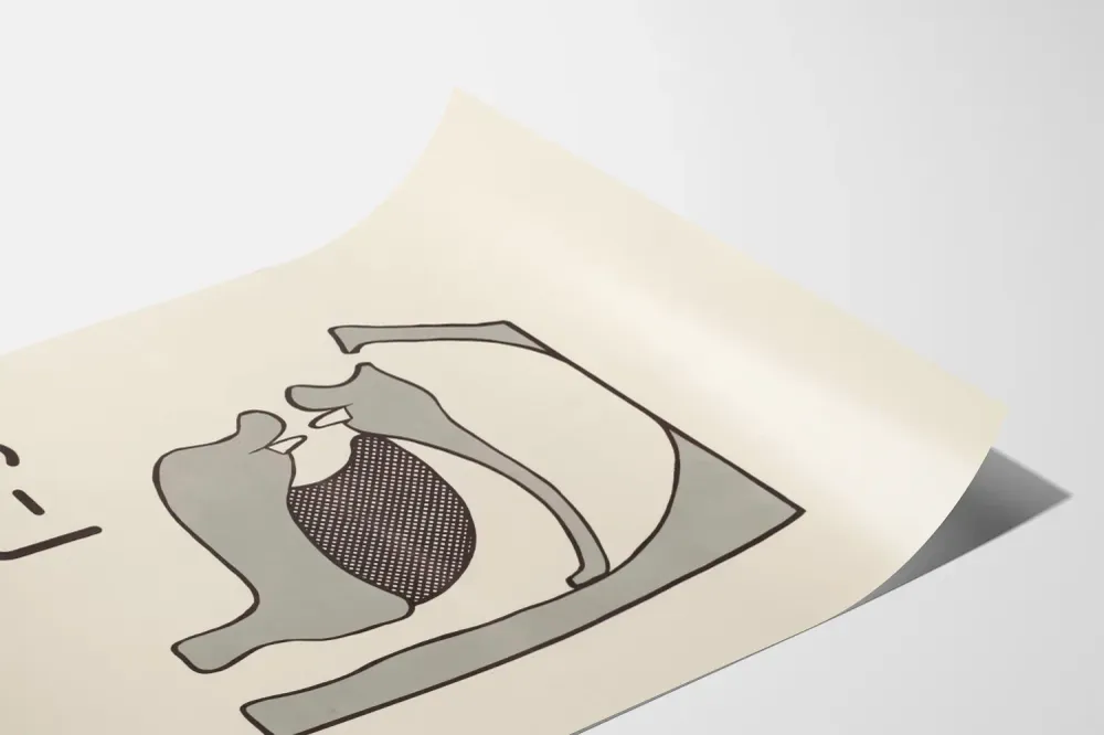 Koulutusjuliste ääntämisen anatomia C-J