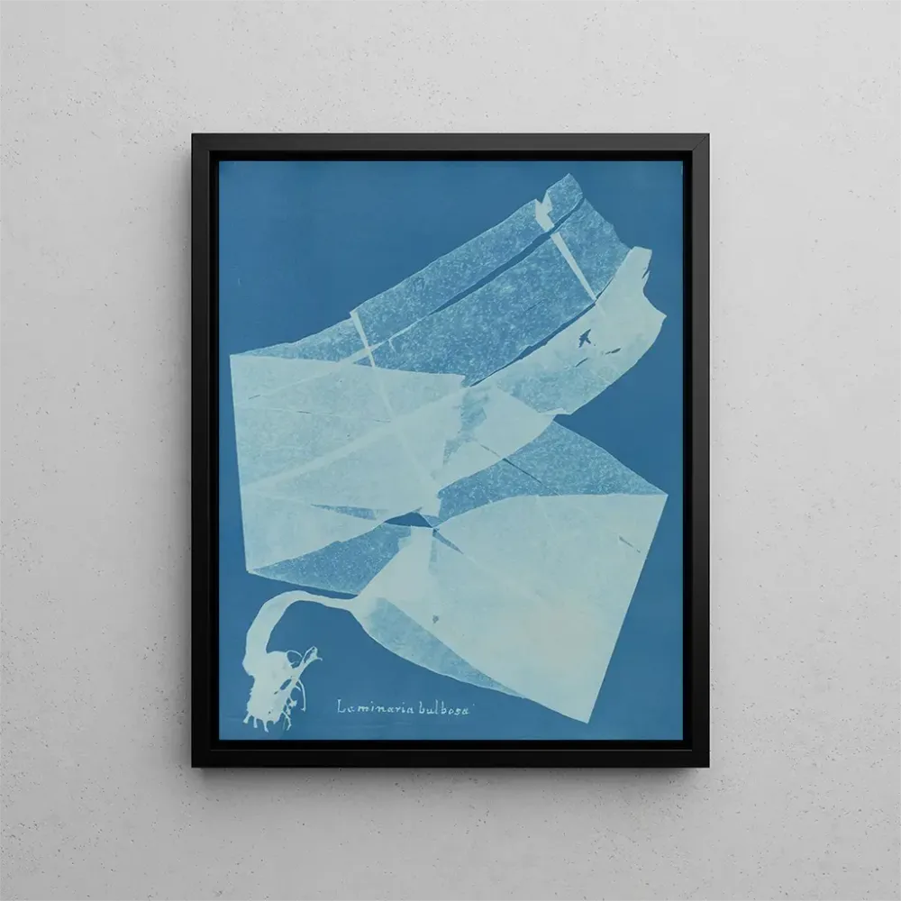 Laminaarinen bulbous maalaus - Anna Atkins | Taidetuloste