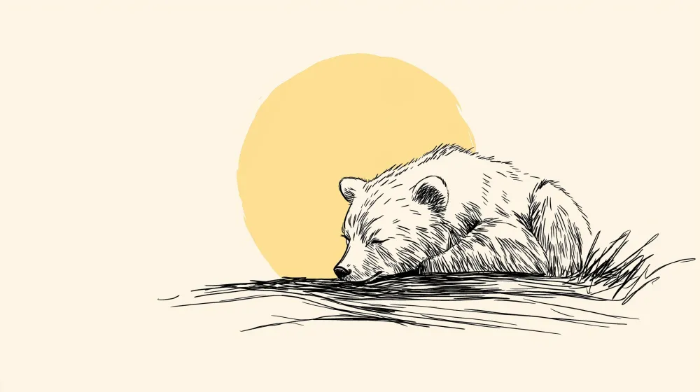 Lastenhuoneen tapetti | Nukkuva karhu auringon alla