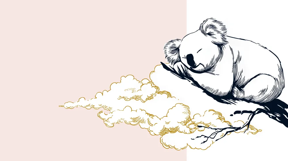 Lastenhuoneen tapetti | Nukkuva koala oksalla kultaisilla pilvillä