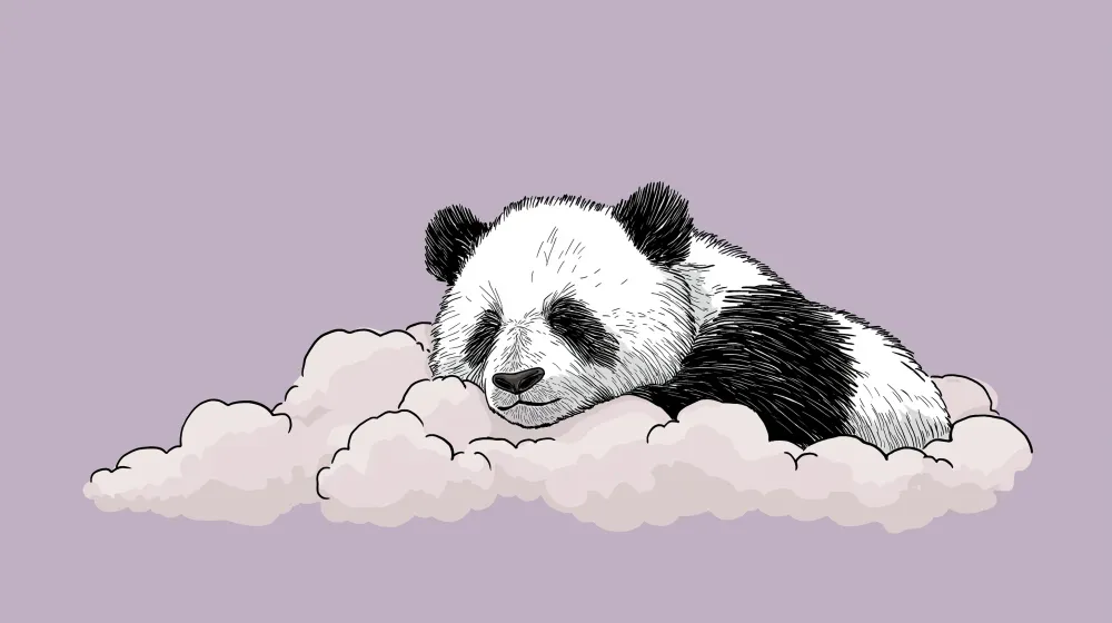 Lastenhuoneen tapetti | Nukkuva panda pilvellä