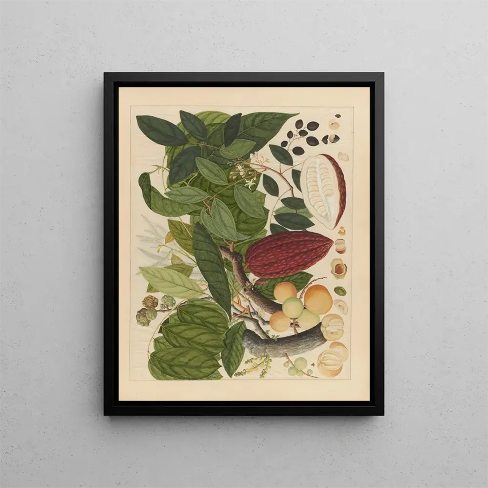 Maalaus Album d'aquarelles chinoises de fruits asiatiques Pl07 - Anonyymi | Taidetuloste