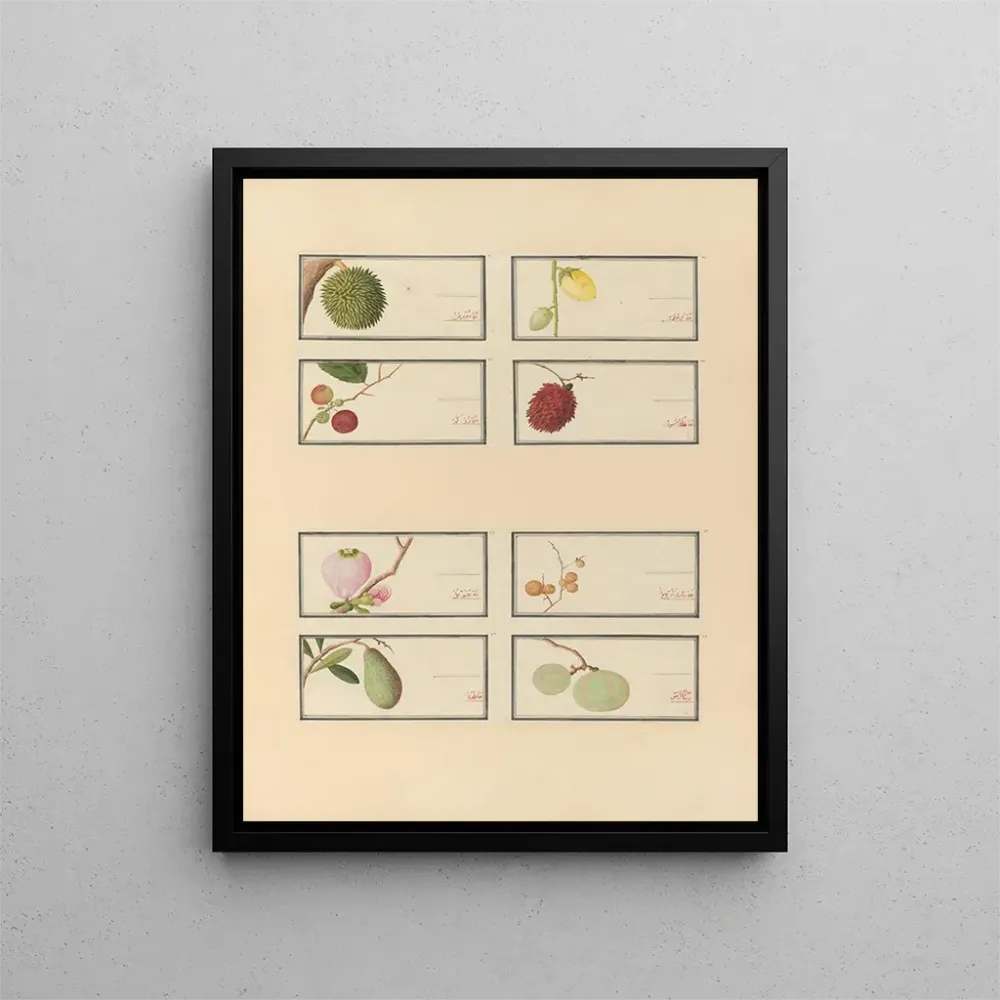 Maalaus Album d'aquarelles chinoises de fruits asiatiques Pl28 - Anonyme | Taidetuloste