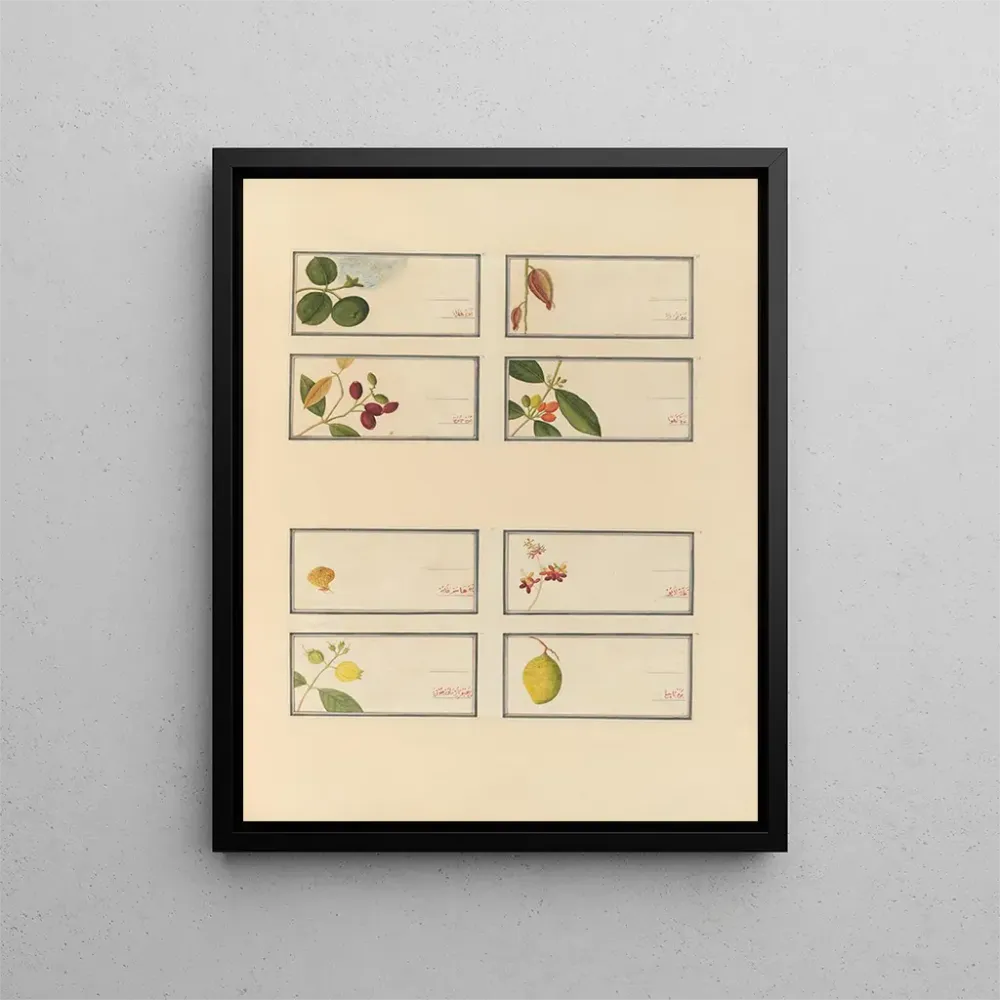 Maalaus Album d'aquarelles chinoises de fruits asiatiques Pl24 - Anonyymi | Taidetuloste