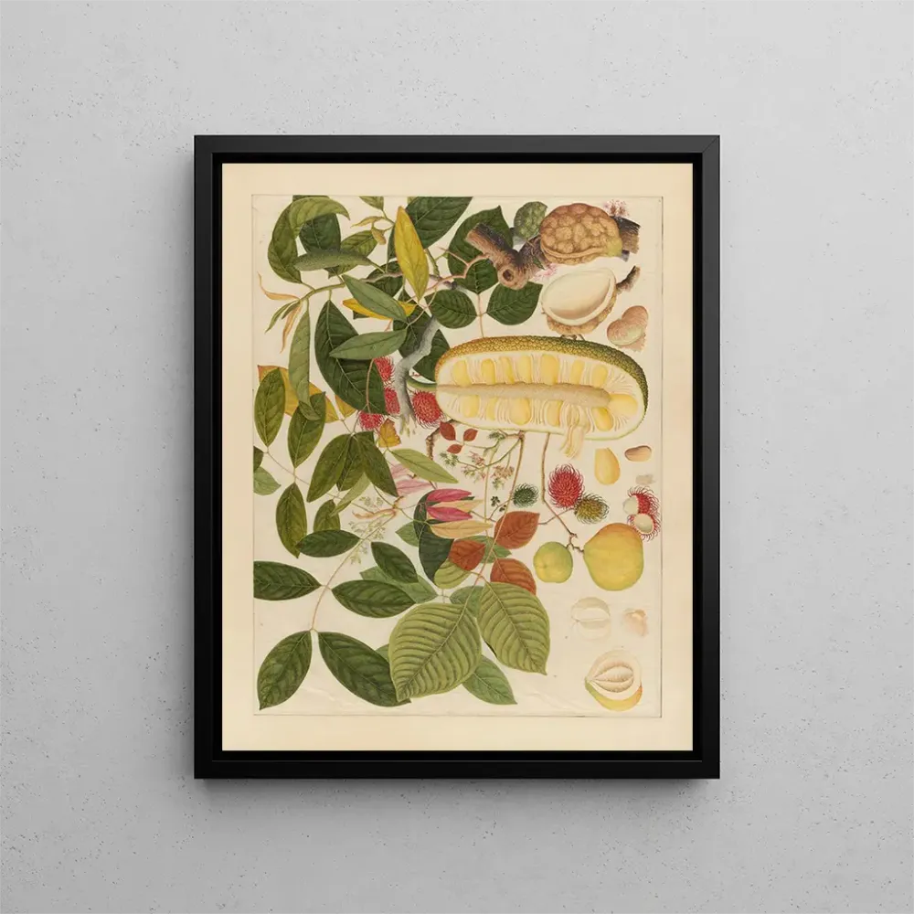 Maalaus Album d'aquarelles chinoises de fruits asiatiques Pl01 - Anonyymi | Taidetuloste