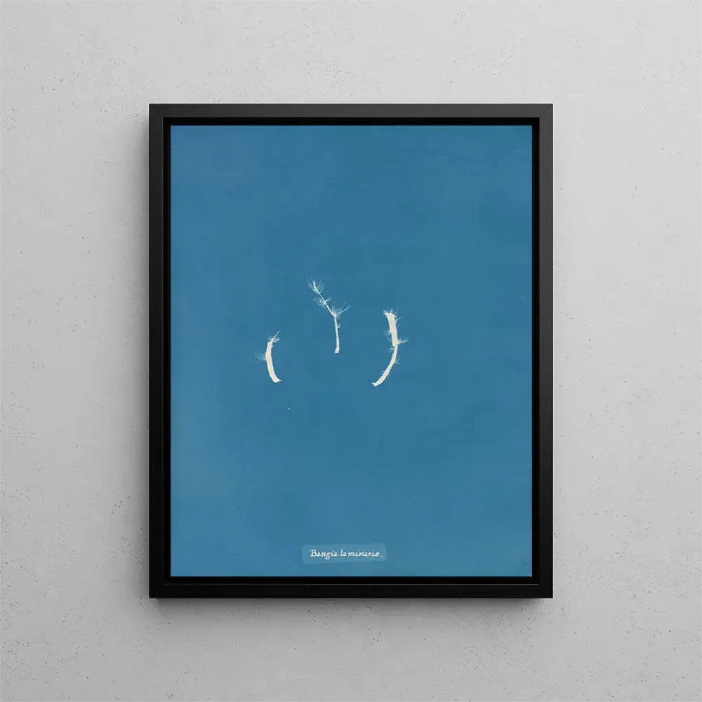 Maalaus Bangia laminariae - Anna Atkins | Taidetuloste