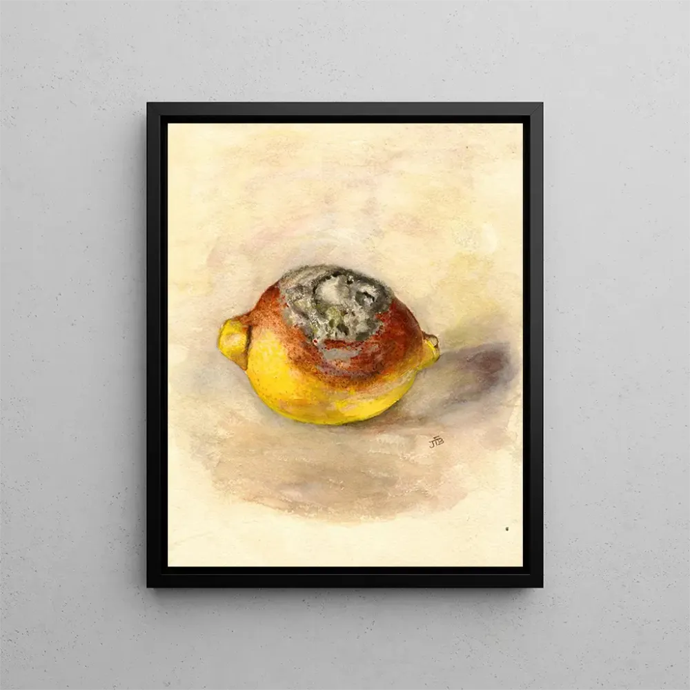 Maalaus Citrus limon - Anonyymi | Taidetuloste
