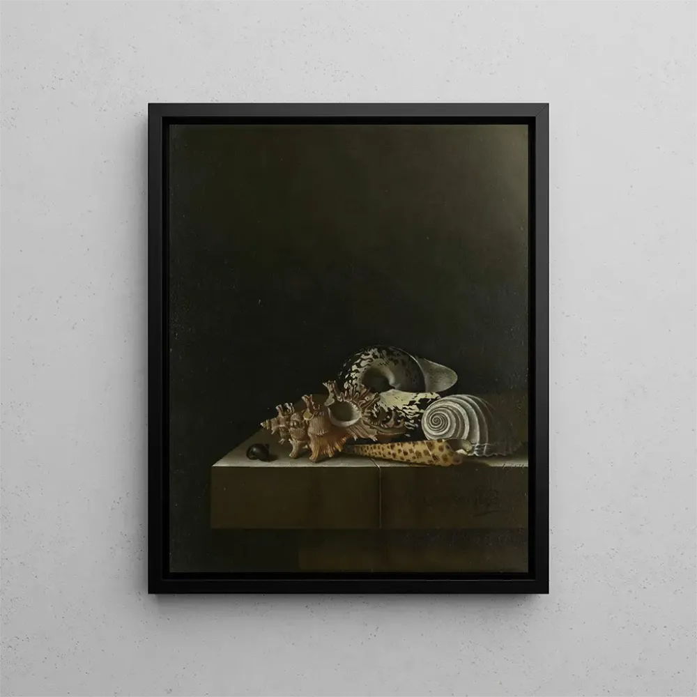 Maalaus Coquillages sur un socle en pierre - Adriaen Coorte | Taidetuloste