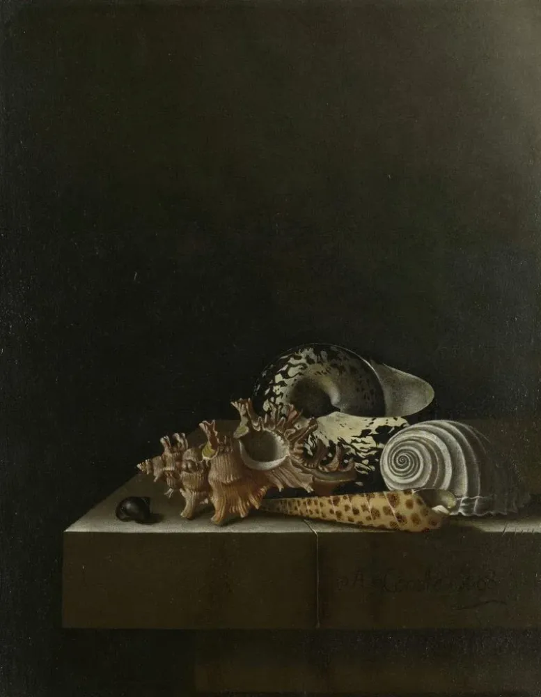 Maalaus Coquillages sur un socle en pierre - Adriaen Coorte | Taidetuloste