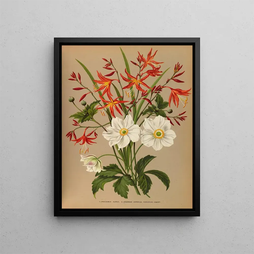 Maalaus Crocosmia aurea 2 émone japonica Honorine Jobert - Arentina Hendrica Arendsen | Taidetuloste