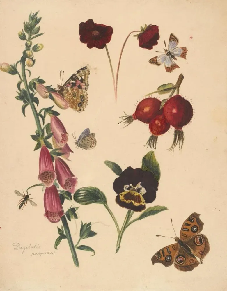 Maalaus Fiche d'étude avec des fleurs et des papillons - Albertus Steenbergen | Taidetuloste