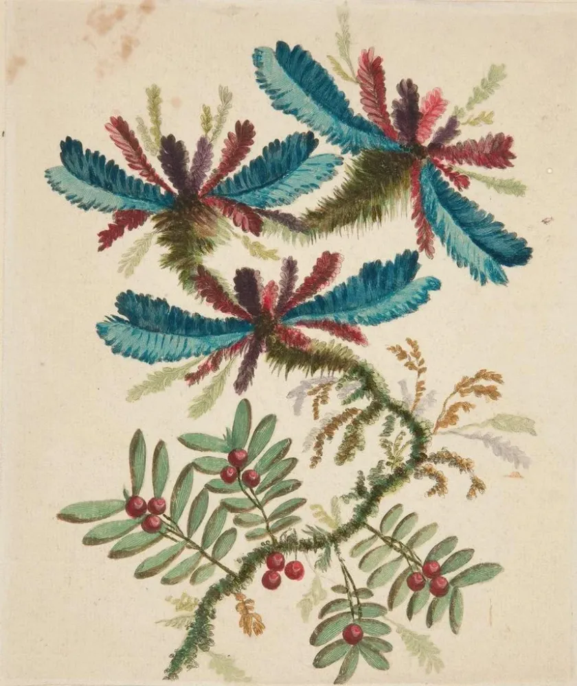 Maalaus Fleurs fantastiques - Anne Allen | Taidetuloste
