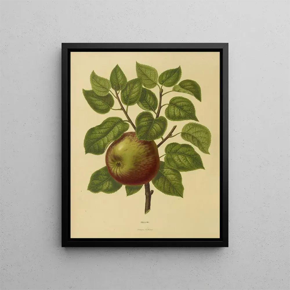 Maalaus Flore hollandaise et Pomone PL20 - Abraham Jacobus Wendel | Taidetuloste