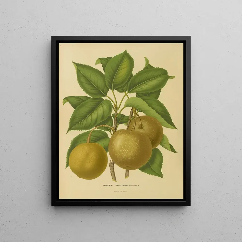 Maalaus Flore hollandaise et Pomone PL21 - Abraham Jacobus Wendel | Taidetuloste