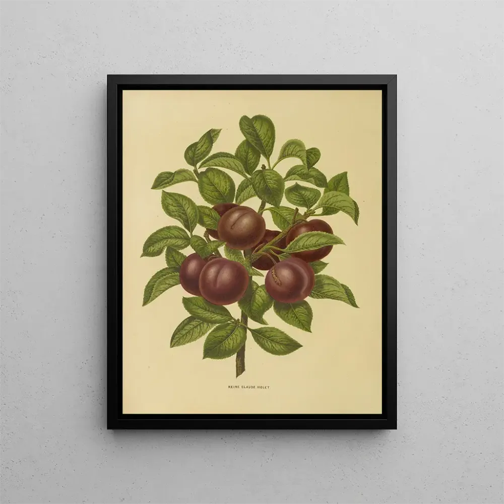 Maalaus Flore hollandaise et Pomone PL24 - Abraham Jacobus Wendel | Taidetuloste