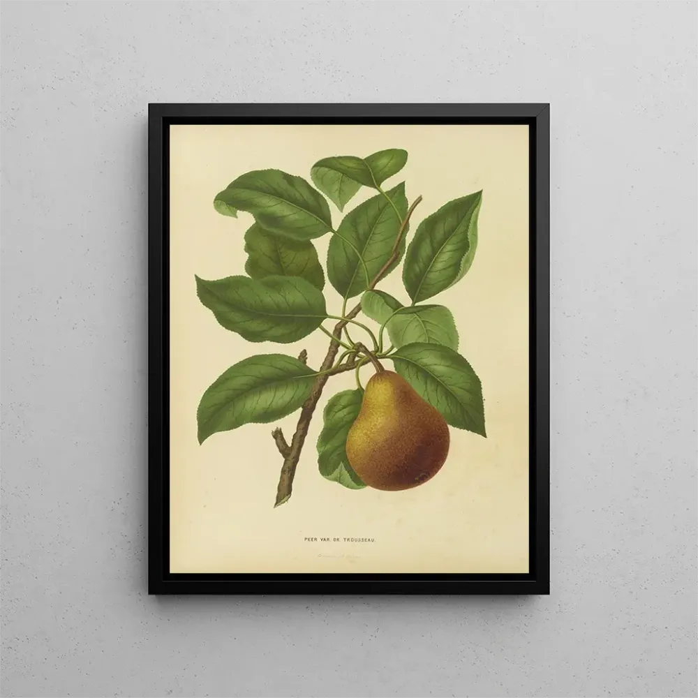 Maalaus Flore hollandaise et Pomone PL37 - Abraham Jacobus Wendel | Taidetuloste