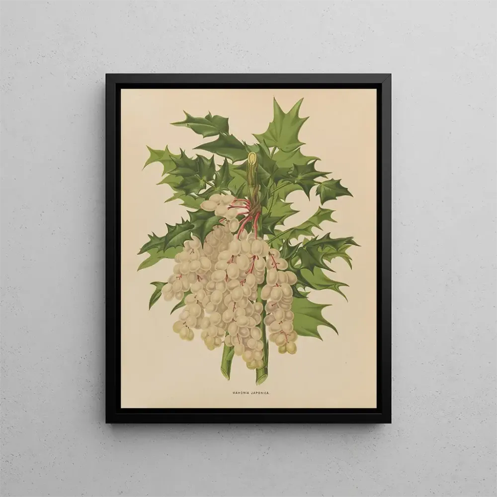 Maalaus Flore hollandaise et Pomone PL41 - Abraham Jacobus Wendel | Taidetuloste