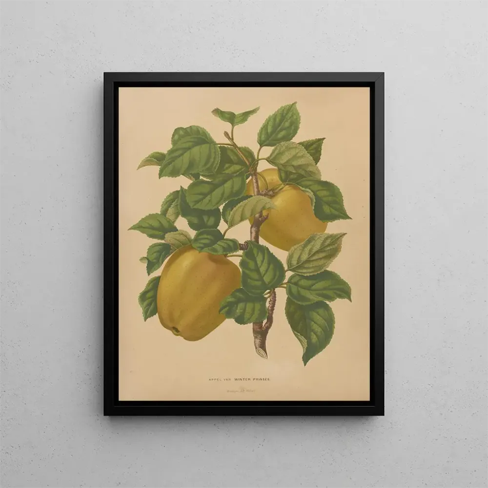 Maalaus Flore hollandaise et Pomone PL79 - Abraham Jacobus Wendel | Taidetuloste