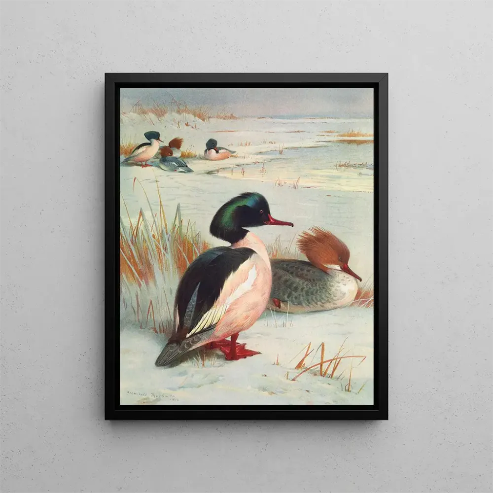 Maalaus Harle bièvre - Archibald Thorburn | Taidetuloste