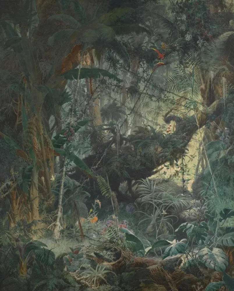 Maalaus Jungle brésilienne - Adolf Schrödter | Taidetuloste
