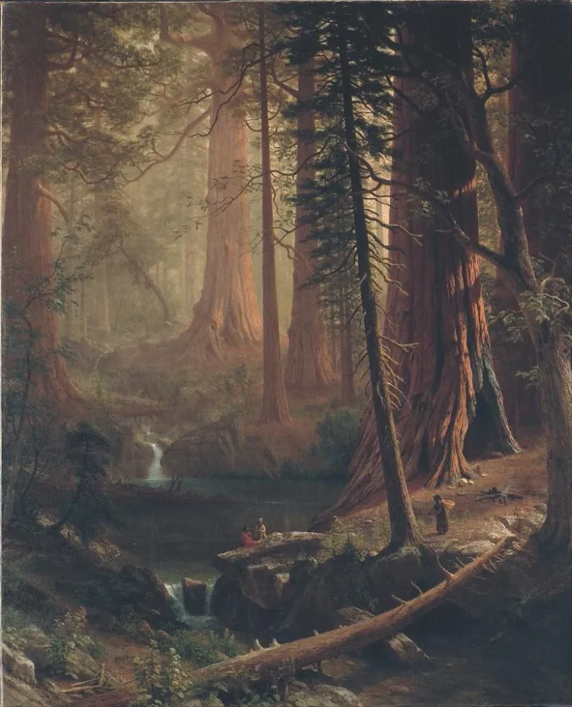 Maalaus Kalifornian jättiläismäisistä sekvoja-puista - Albert Bierstadt | Taidetuloste