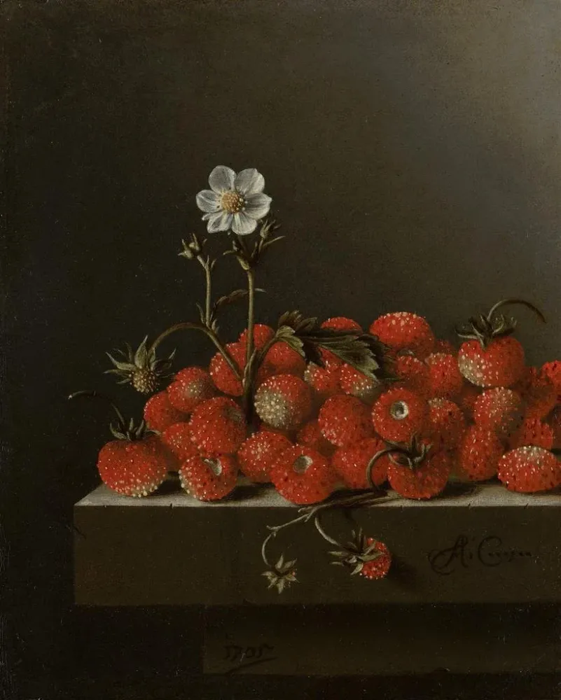 Maalaus Luontoaiheinen marjojen, erityisesti metsämansikoiden, still life - Adriaen Coorte | Taidetuloste