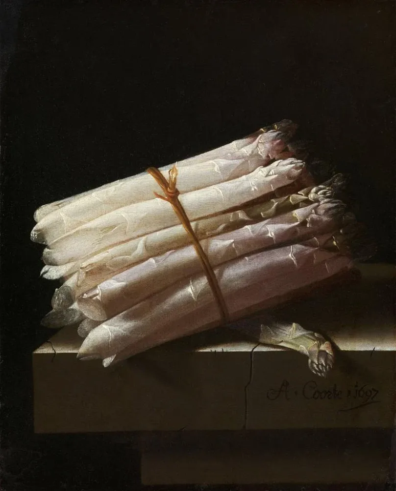 Maalaus Luontoaiheinen still life parsakaalin kanssa - Adriaen Coorte | Taidetuloste