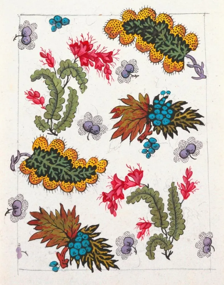 Maalaus Motif floral pour textile imprimé Pl III - Anonyme | Taidetuloste