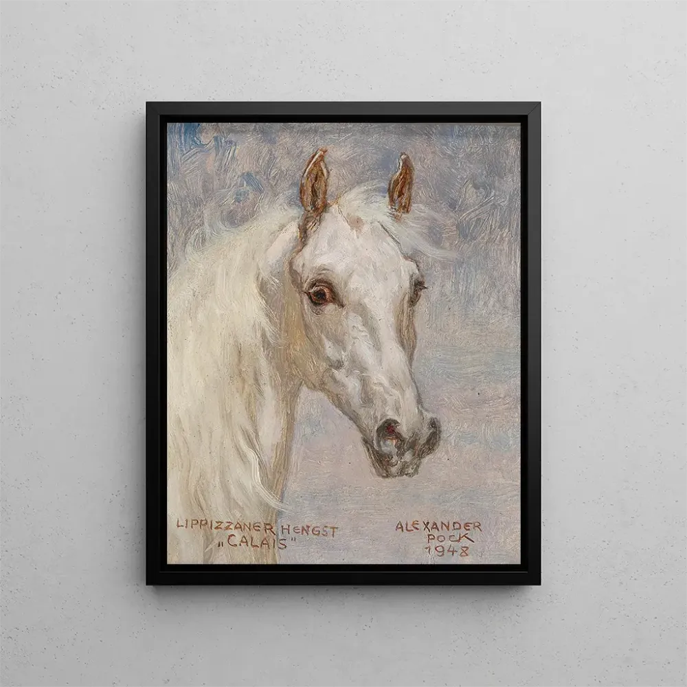 Maalaus Portrait de cheval Calais - Alexander Pock | Taidetuloste