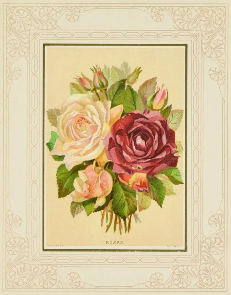 Maalaus Roses - Marcus Ward & Co. | Taidetuloste