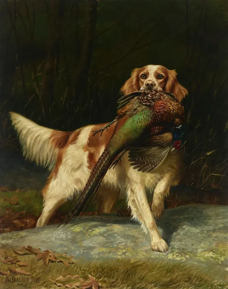 Maalaus Springer Spaniel metsästäjäkanilla - Alexander Pope | Taidetuloste