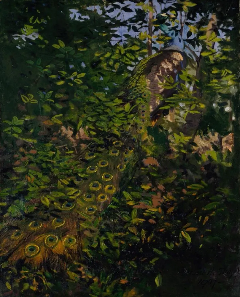 Maalaus Study peacock woods book Concealing Coloration Animal Kingdom - Abbott Handerson Thayer | Taidetuloste