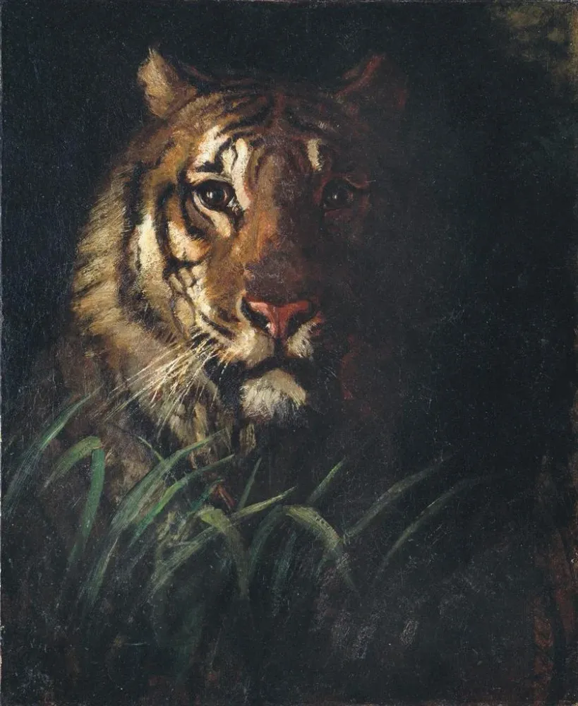Maalaus Tête de tigre - Abbott Handerson Thayer | Taidetuloste
