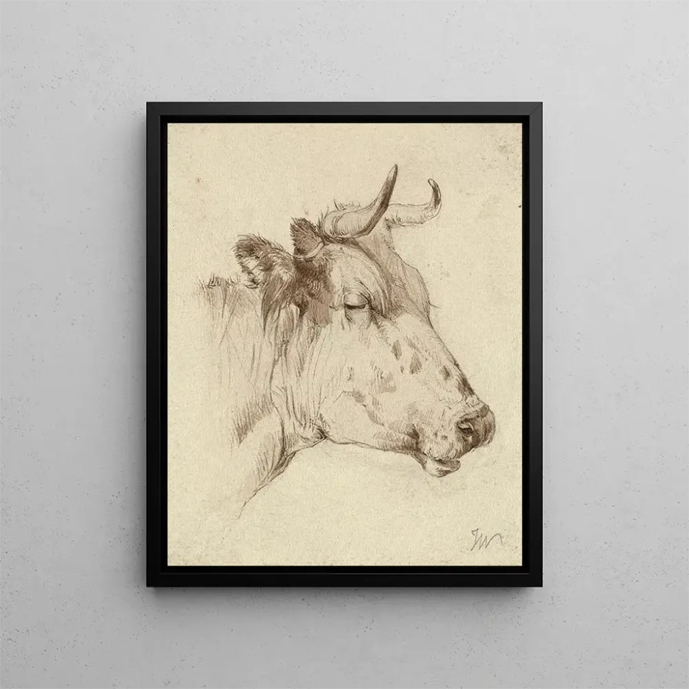 Maalaus Tête de vache - Anonyme | Taidetuloste