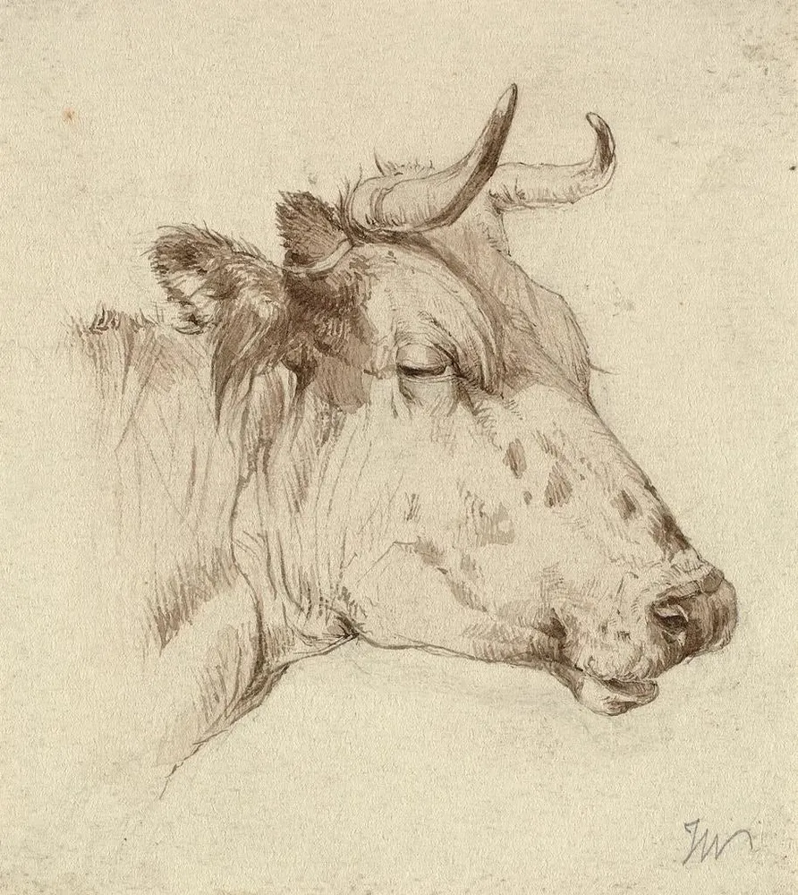Maalaus Tête de vache - Anonyme | Taidetuloste