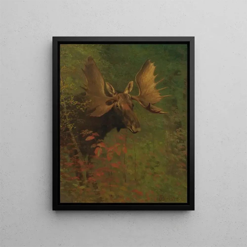 Maalaus Tutkimus hirvestä - Albert Bierstadt | Taidetuloste