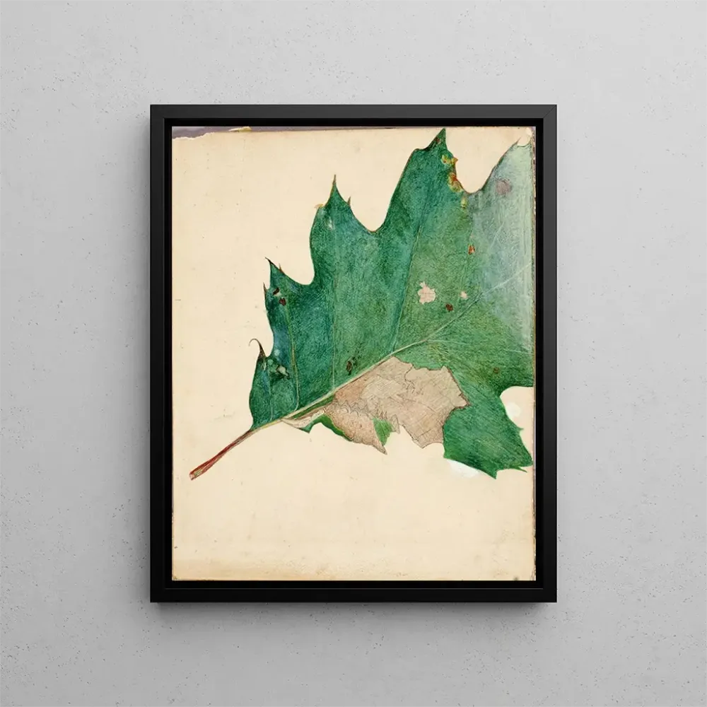 Maalaus tutkimus oligocentra lignicolor Walker -kirjaan Concealing Coloration Animal Kingdom - Abbott Handerson Thayer | T...