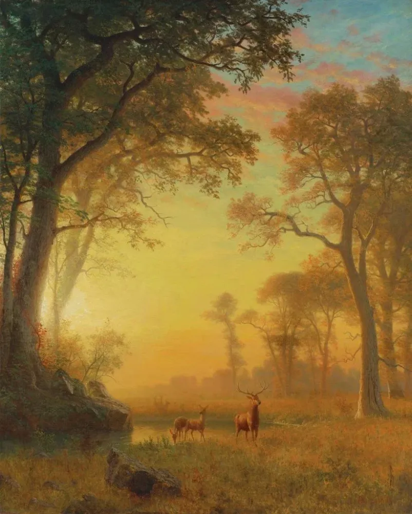Maalaus Valo metsässä - Albert Bierstadt | Taidetuloste