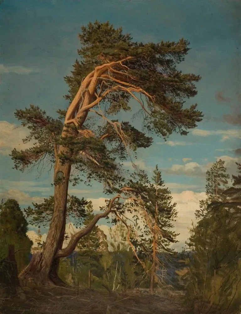 Maalaus Vieux pin pire à Setesdal - Amaldus Nielsen | Taidetuloste