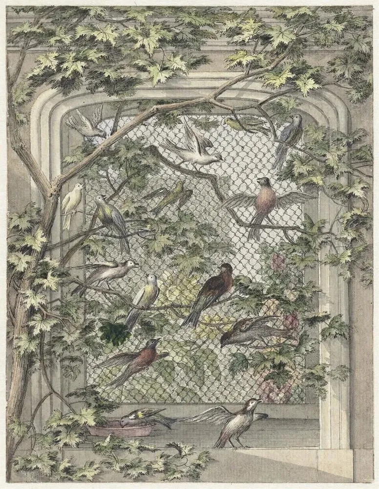 Maalaus Volière avec quatorze oiseaux - Aert Schouman | Taidetuloste