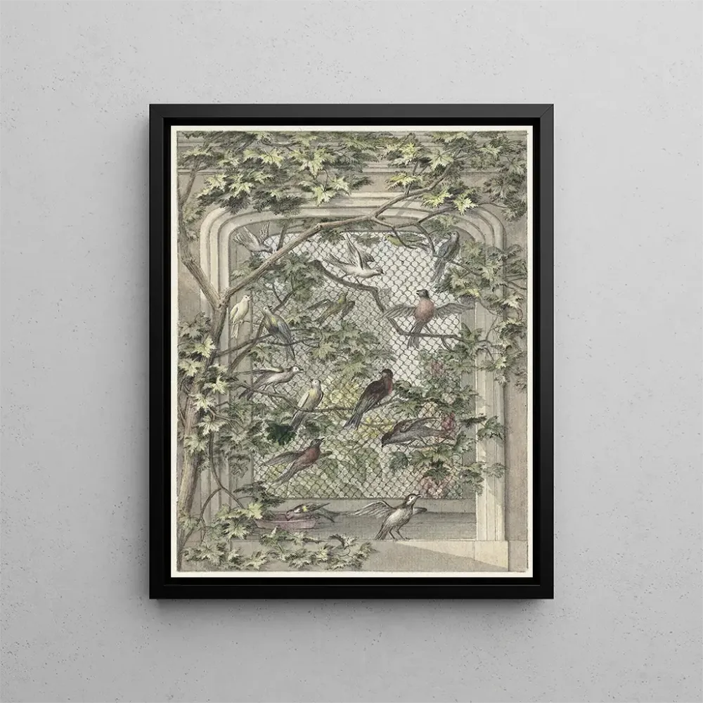 Maalaus Volière avec quatorze oiseaux - Aert Schouman | Taidetuloste