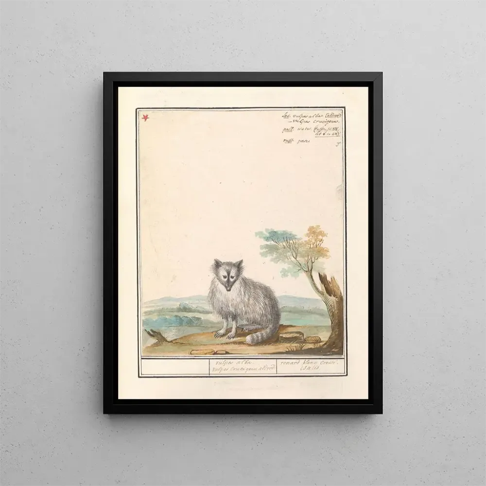 Maalaus Vos Renards renards renards renards blancs Crucigera aldvov renard fade crois isalis - Anselmus Botius de Boodt |...