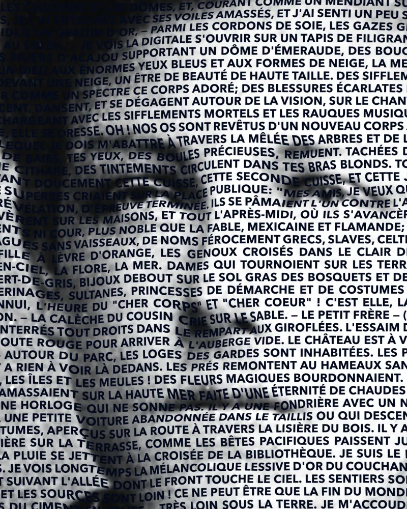 Arthur Rimbaud, Muotokuva teoksessa Illuminations - Taulu Posterscape Creative Studio